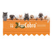 Gentle No-Blade Pet Grooming Brush