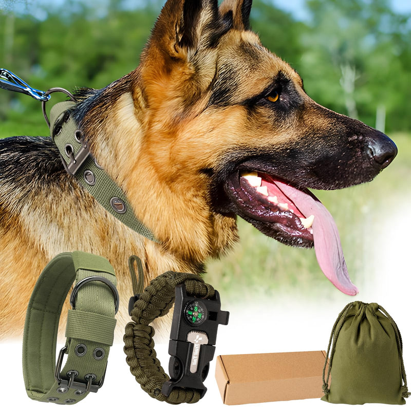 German Shepherd wearing olive green tactical collar with survival gear accessories displayed below