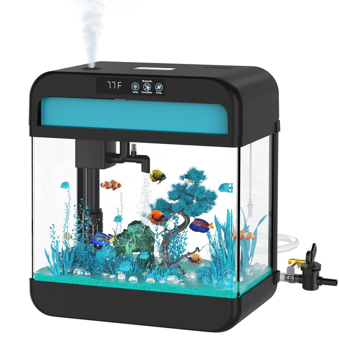 Complete glass aquarium starter kit with black frame, blue LED lighting, tropical fish and coral