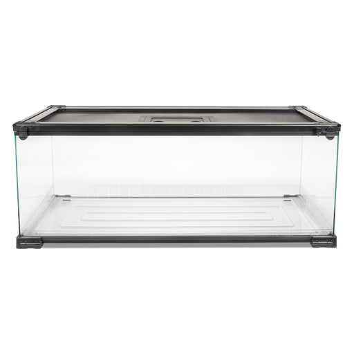 Clear glass reptile terrarium with black metal frame and mesh lid shown from front angle