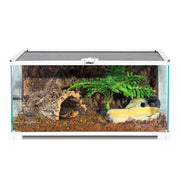 Front view of glass reptile terrarium with turtle cork hide fern and water dish