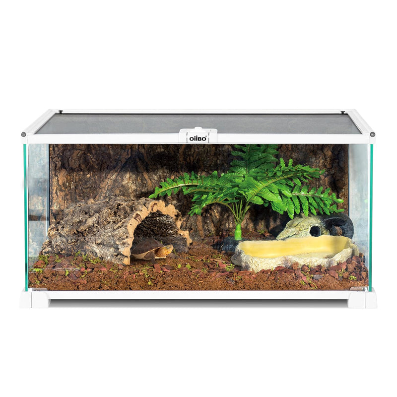 Front view of glass reptile terrarium with turtle cork hide fern and water dish