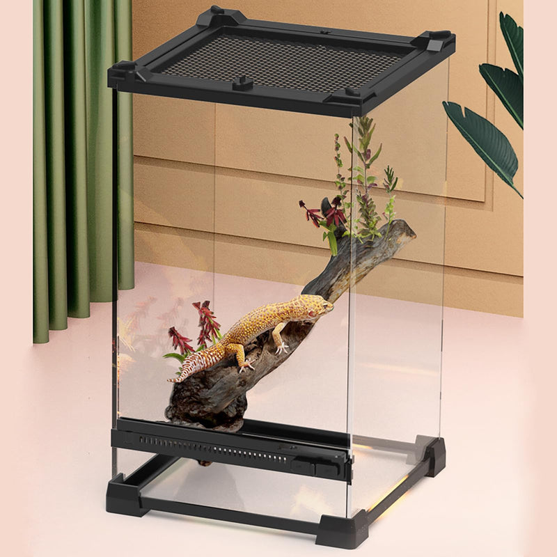 Glass reptile terrarium with black frame showing leopard gecko on branch with plants inside