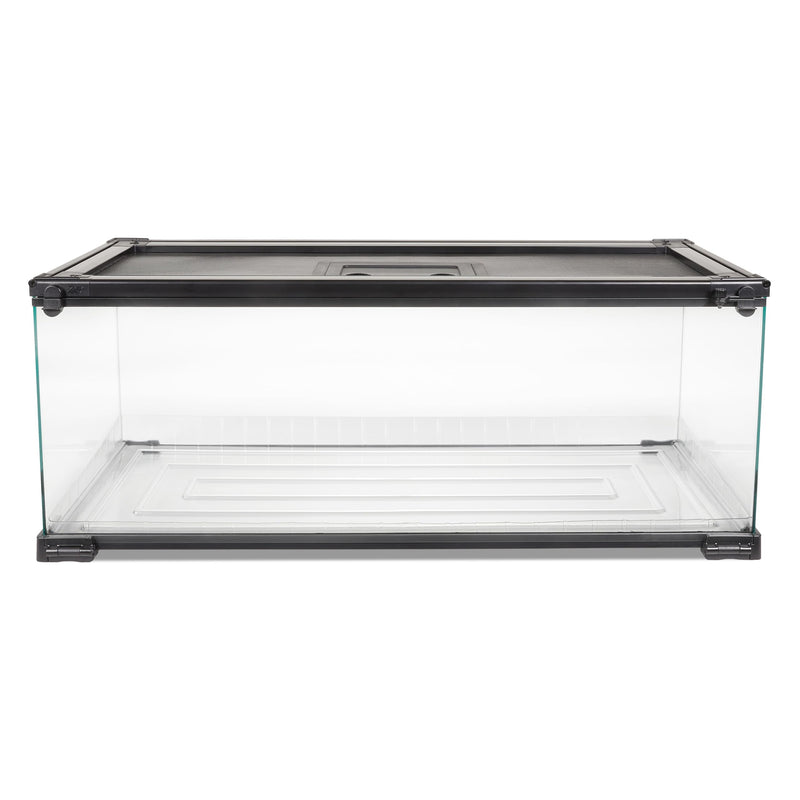 Clear glass reptile terrarium with black metal frame and ventilated mesh lid on white background