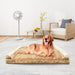 Golden retriever lying on tan orthopedic memory foam dog bed in modern living room setting