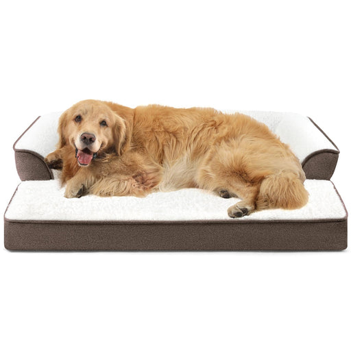 Golden retriever lying on white orthopedic dog bed with brown trim and raised edges