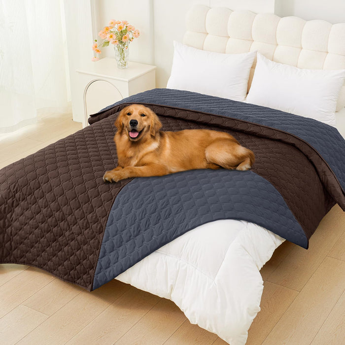 Golden retriever lying on blue and brown reversible waterproof dog blanket on white bed
