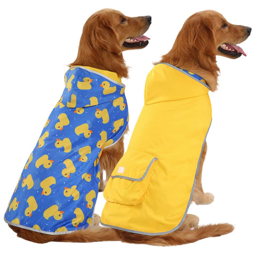 Two golden retrievers wearing reversible raincoats - blue with rubber ducks and yellow side