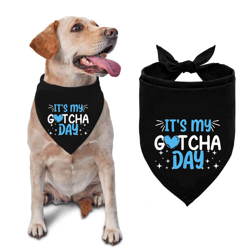 Black dog bandana with It's My Gotcha Day text shown on dog and flat lay with bow tie