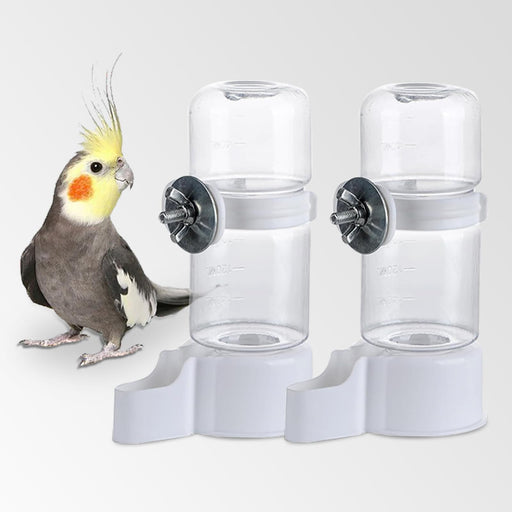 Gray cockatiel next to two clear gravity-fed bird water dispensers with white mounting bases