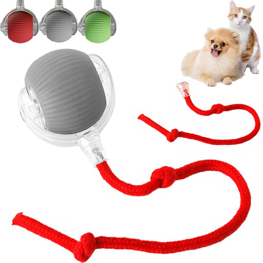Gray interactive dog ball toy with clear transparent case and red rope lanyard attached