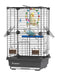 Gray wire bird cage with two cockatiels, colorful toys, perches, and food dishes visible