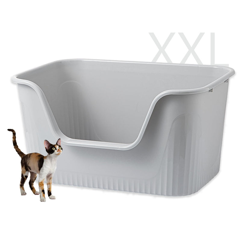 Gray XXL cat litter box with low front entry and small calico cat for scale comparison