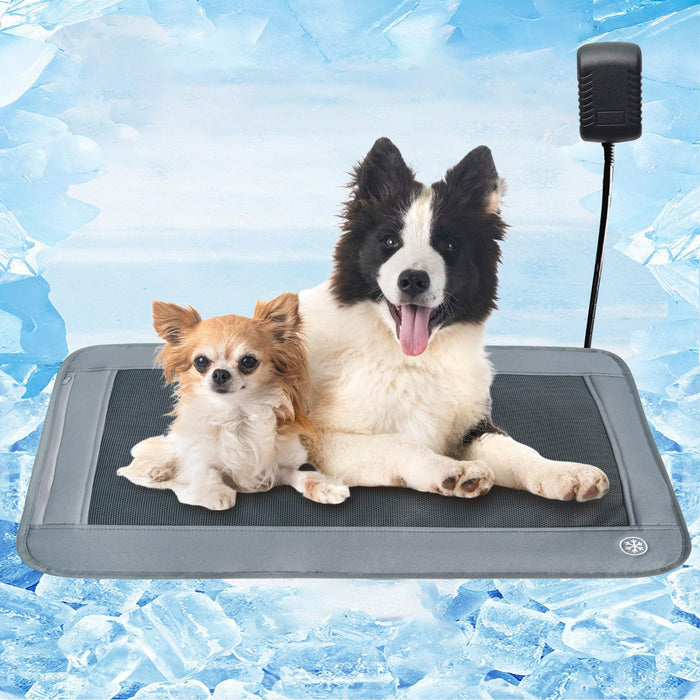 Two dogs on gray electric cooling mat with power adapter against icy blue background