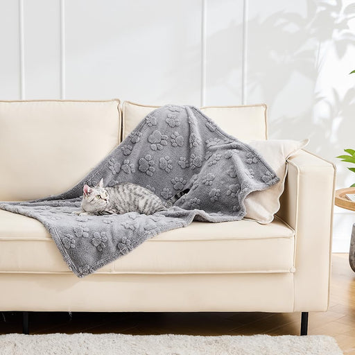 Gray textured coral fleece blanket draped on beige sofa with tabby cat lying on it