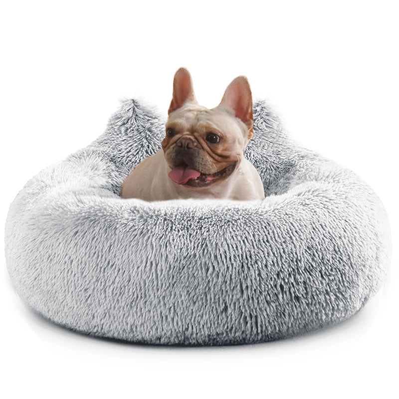 French Bulldog relaxing in gray fluffy donut-shaped dog bed with raised edges on white background