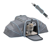 Gray expandable pet carrier with mesh windows showing orange kitten inside, shoulder strap above