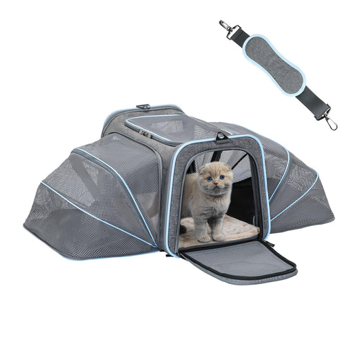 Gray expandable pet carrier with mesh windows showing orange kitten inside, shoulder strap above