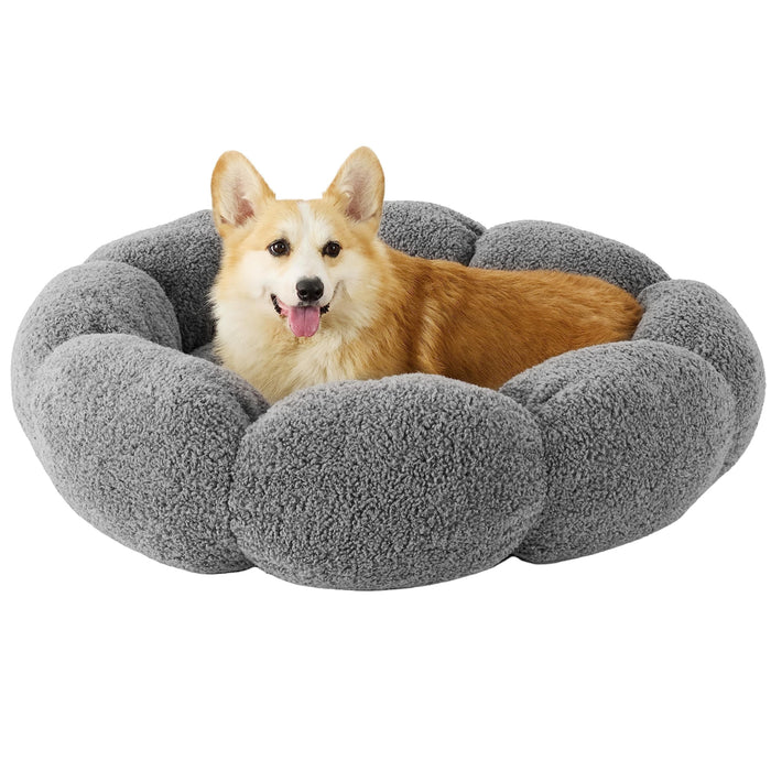 Corgi sitting in gray flower-shaped plush dog bed with raised petals on white background
