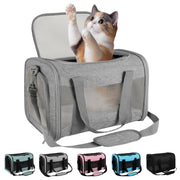 Gray soft-sided cat carrier with mesh panels and calico kitten sitting inside with paw raised