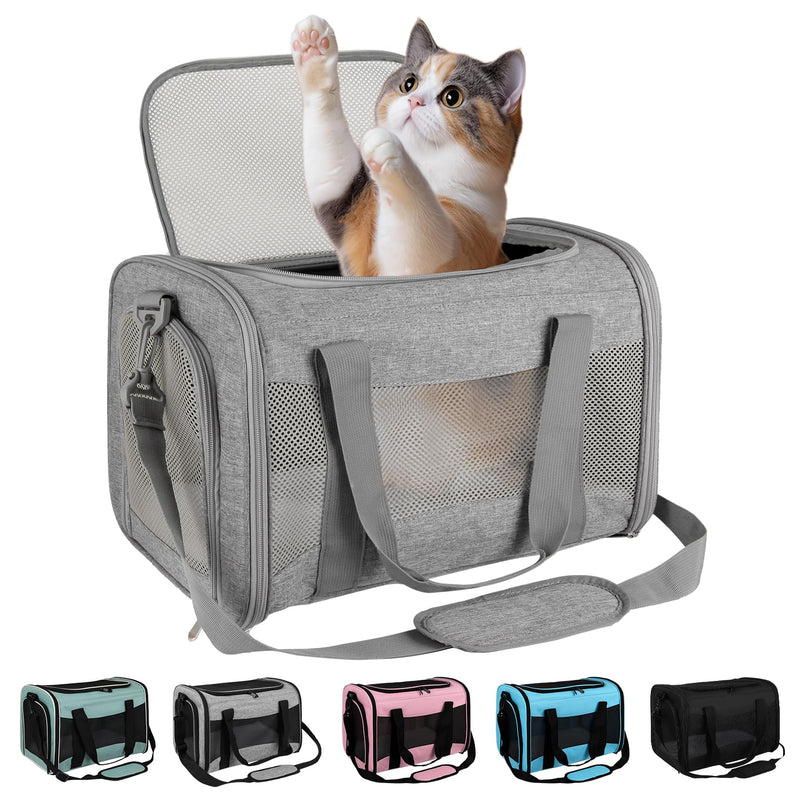 Gray soft-sided cat carrier with mesh panels and calico kitten sitting inside with paw raised