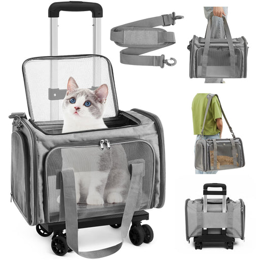 Gray wheeled pet carrier with blue-eyed white cat inside, showing mesh panels and rolling