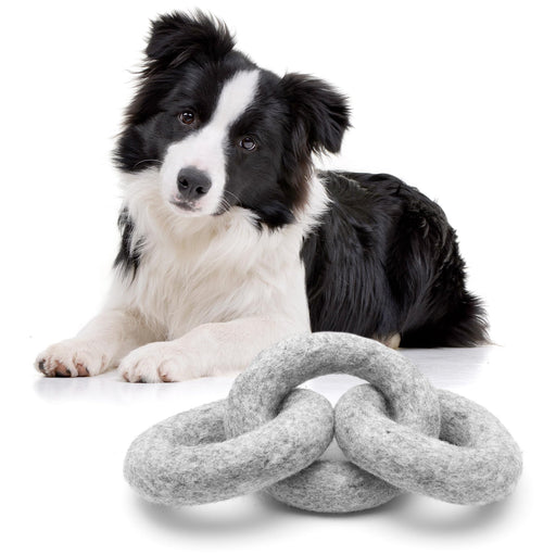 Black and white Border Collie puppy lying next to three gray wool chew rings on white background