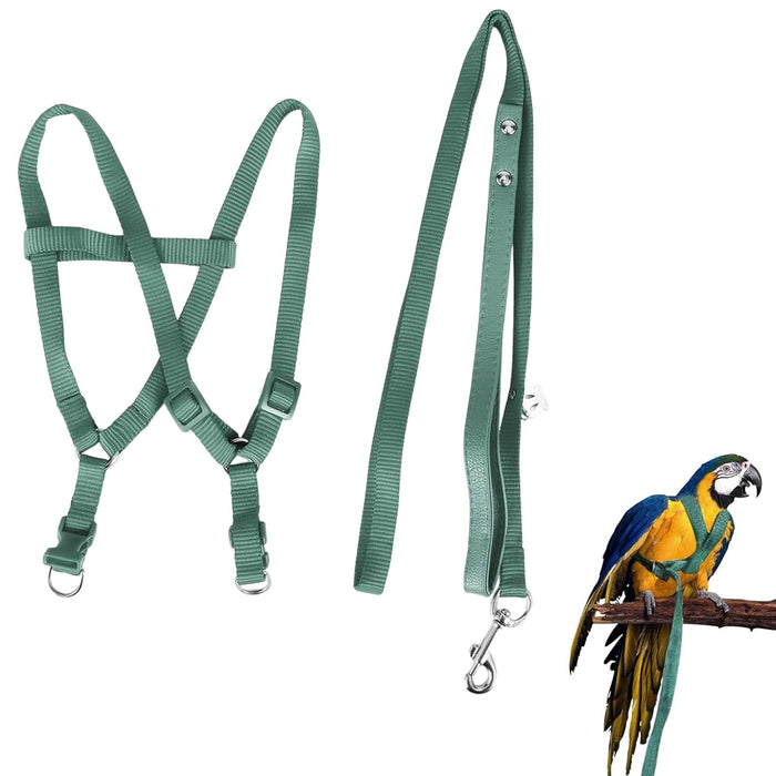 Green bird harness and leash set displayed flat showing harness straps and leash components