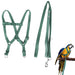 Green bird harness and leash set displayed flat showing harness straps and leash components