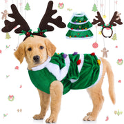 Golden retriever puppy wearing green Christmas tree costume with reindeer antler headband