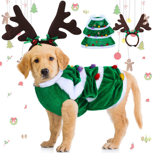 Golden retriever puppy wearing green Christmas tree costume with reindeer antler headband