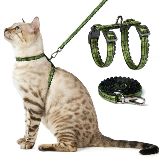 Bengal cat wearing green crocodile pattern harness with matching leash and harness set shown