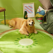 Golden retriever lying on green kiwi fruit pattern round rug in bright living room