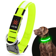 Bright green LED dog collar with reflective strip and ON/OFF switch shown with brown dog wearing it