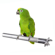 Green parrot perched on stainless steel textured bird perch with mounting hardware visible