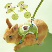 Orange rabbit wearing green harness with bear logo and matching leash, product components shown