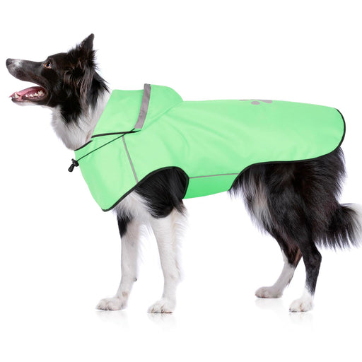 Black and white Border Collie wearing bright green reflective raincoat with hood on white background