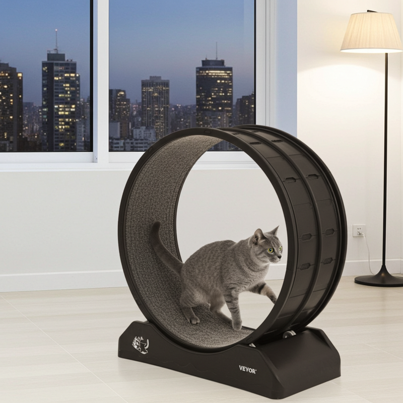 A grey city cat running on an exercise wheel before dinner and wishing it was in the woods catching a mouse.