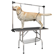 Yellow Labrador secured with restraints on professional grooming table with overhead arm