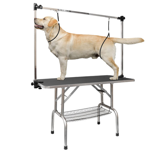 Yellow Labrador secured with restraints on professional grooming table with overhead arm