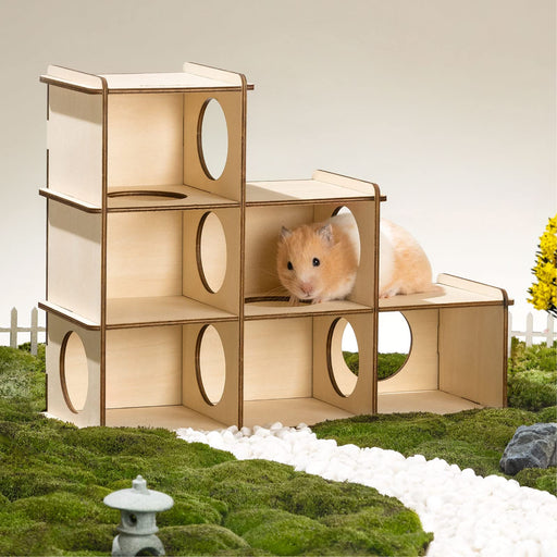 Golden hamster exploring wooden modular hideout maze with circular openings on moss landscape