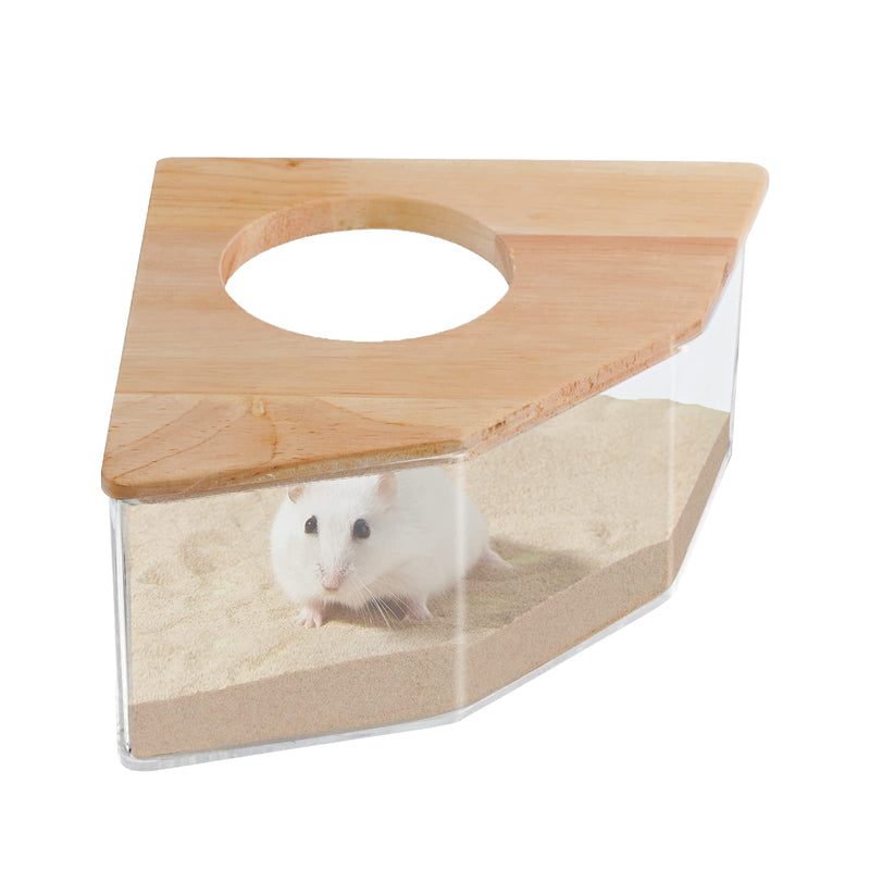 White hamster inside clear triangular sand bath with wooden lid and circular opening