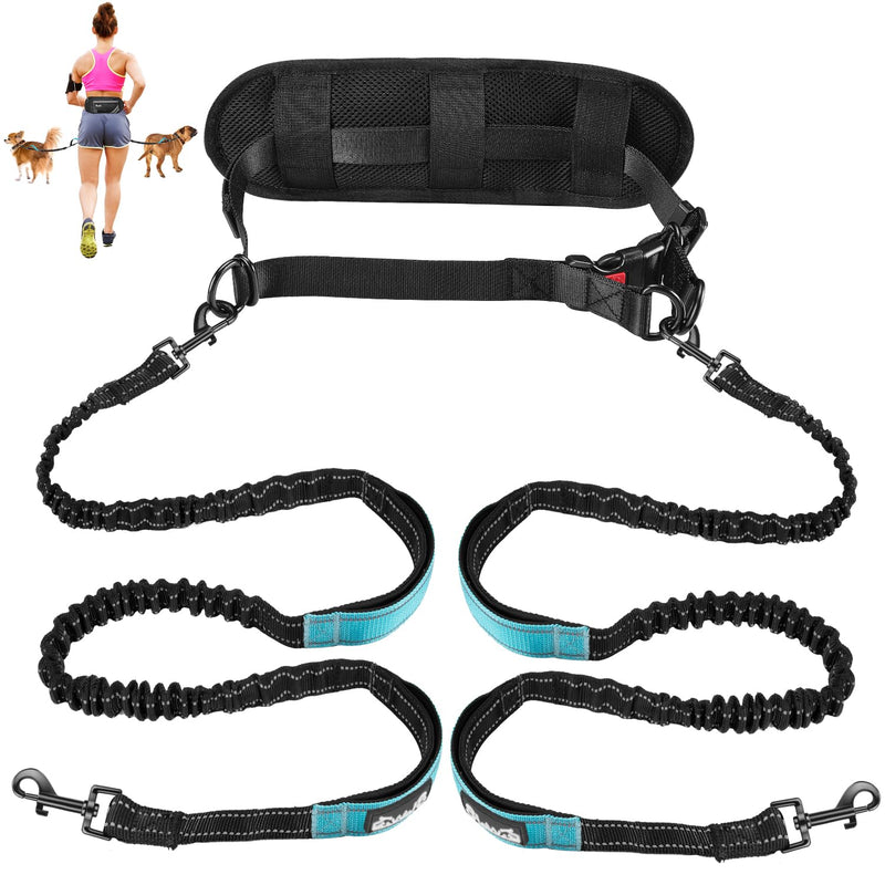 Hands-free dual dog leash set with black bungee cords, teal handles, and padded waist belt