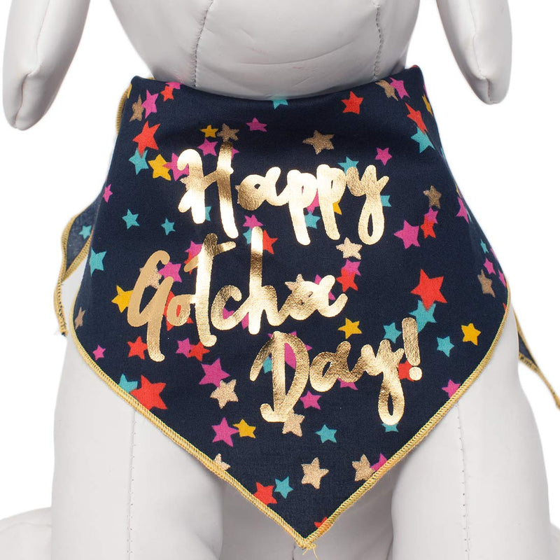 Navy dog bandana with colorful stars and gold foil Happy Gotcha Day text on mannequin