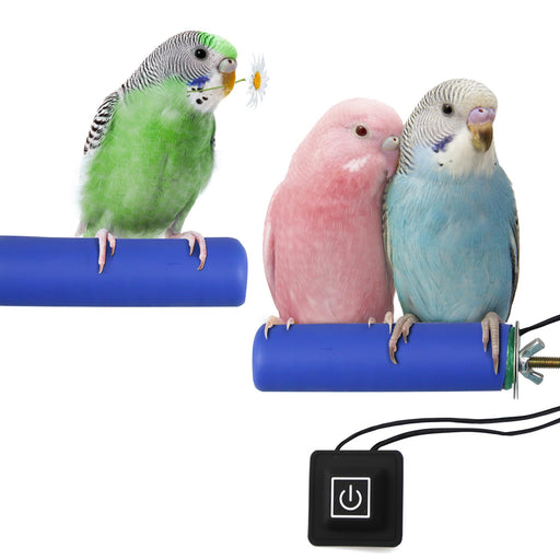 Three colorful budgies perched on blue heated bird perch with power button and cord visible