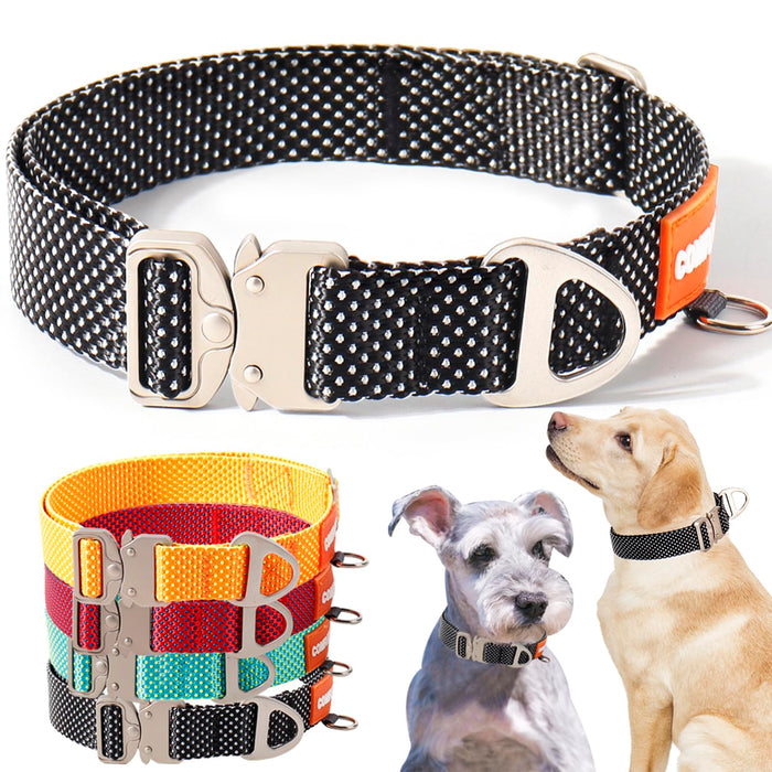 Heavy duty dog collars with metal buckles in black, orange, red and teal colors, shown with two dogs