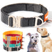 Heavy duty dog collars with metal buckles in black, orange, red and teal colors, shown with two dogs