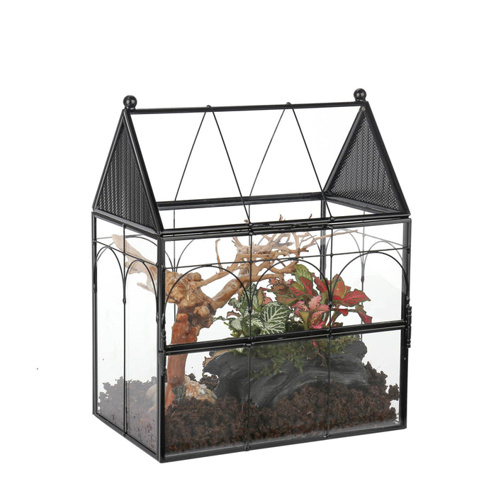 Black metal house-shaped glass terrarium with peaked roof containing plants and driftwood