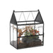 Black metal house-shaped glass terrarium with peaked roof containing plants and driftwood