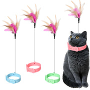 Gray cat wearing pink collar with colorful feather toy collars in blue, pink and green displayed